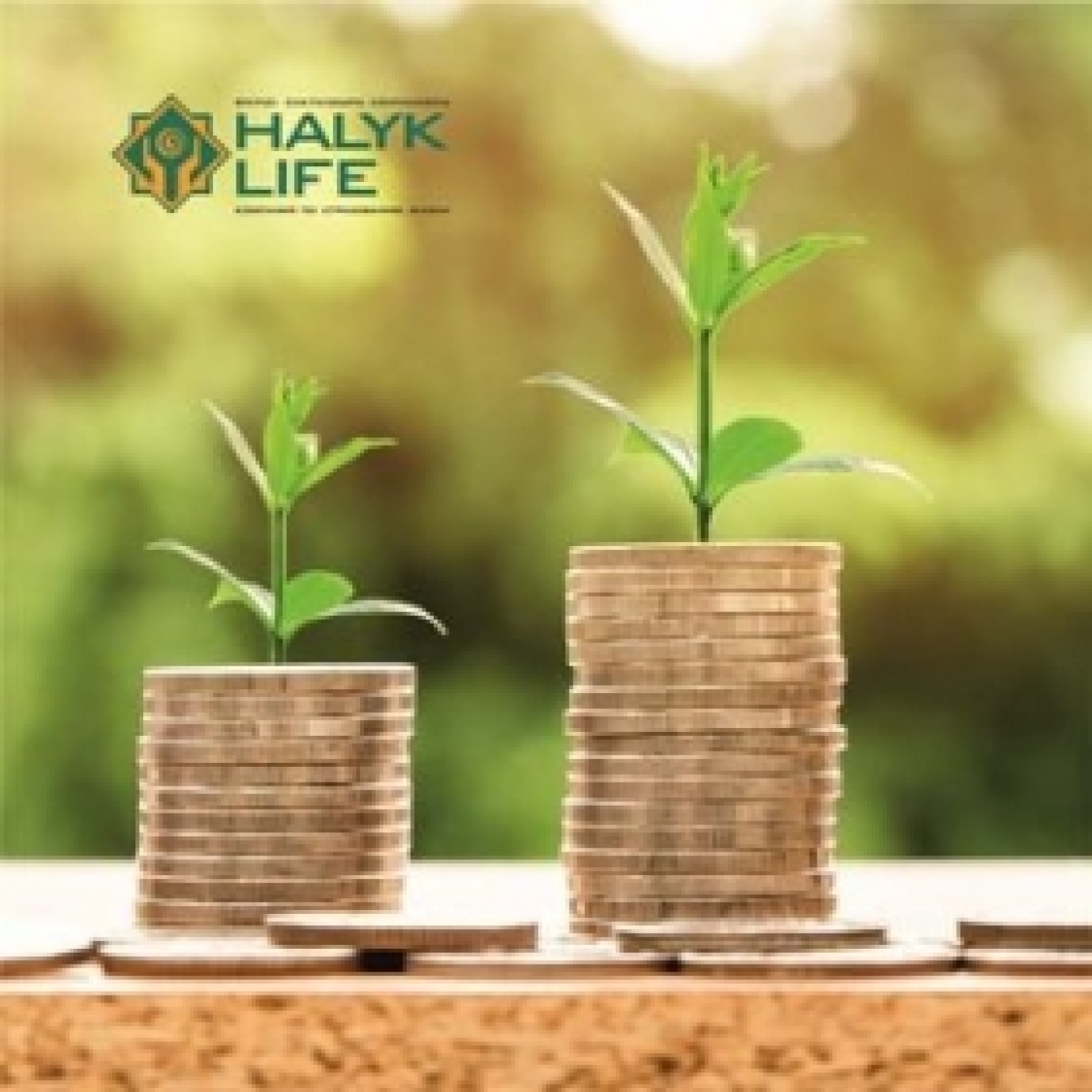 АО "ХАЛЫК-LIFE" РАСПРЕДЕЛЯЕТ СРЕДИ КЛИЕНТОВ ПО НАКОПИТЕЛЬНОМУ СТРАХОВАНИЮ СТРАХОВЫЕ ДИВИДЕНДЫ